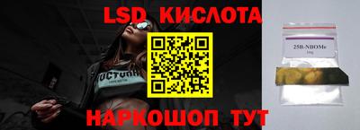 прущие грибы Абинск