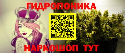 прущие грибы Абинск