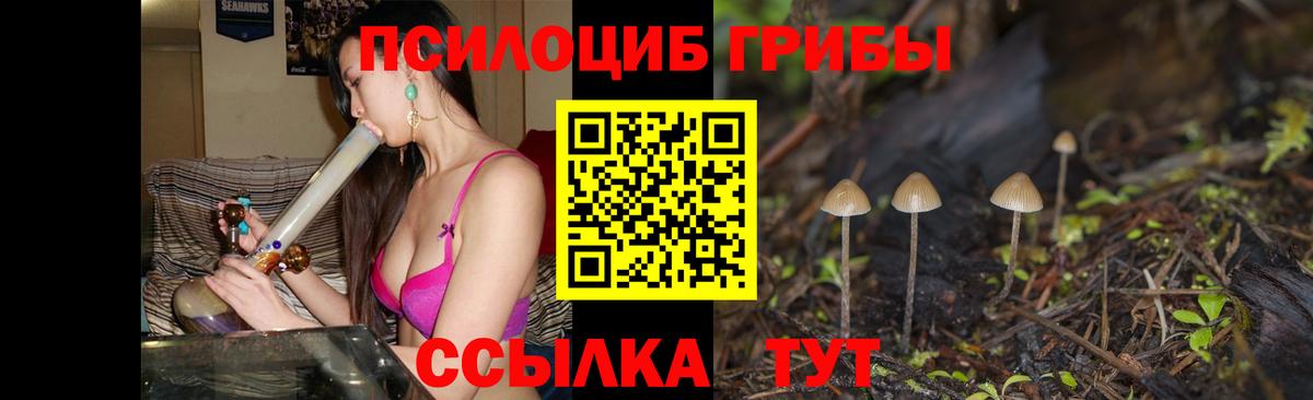 Альметьевск  как найти закладки  Вход с VPN  Галлюциногенные грибы Magic Shrooms 